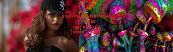 первитин Володарск