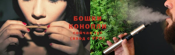 стаф Волоколамск
