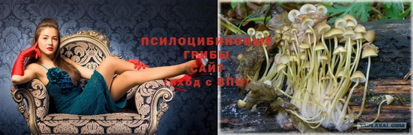 кокаин Волосово
