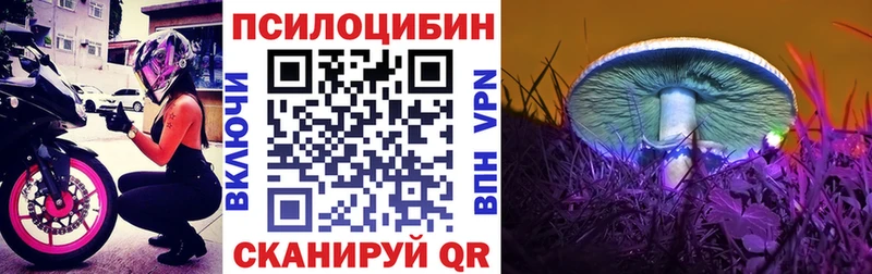 Галлюциногенные грибы Psilocybine cubensis  Вичуга 